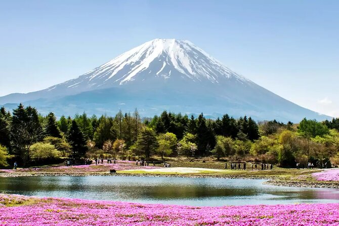 Mt. Fuji and Hakone Private Tour With English Speaking Driver - Itinerary Options