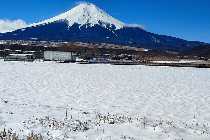 Mt. Fuji and Hakone Private Tour With English Speaking Driver - Booking and Pricing