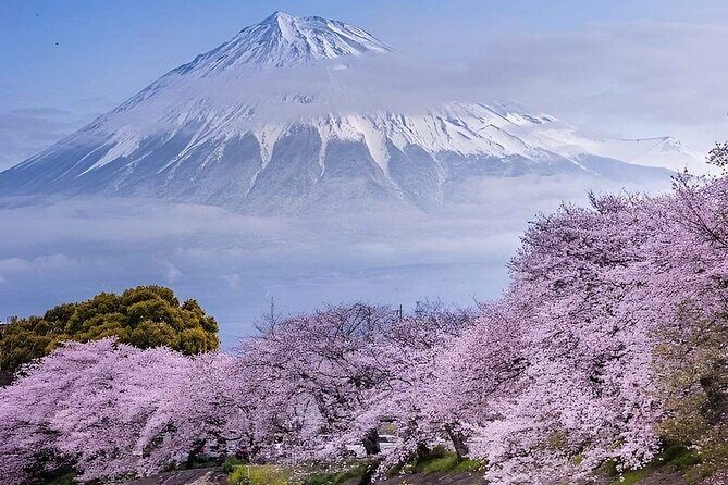 Mt. Fuji and Hakone Private Tour with English Speaking Driver - Exploring the Mt. Fuji and Hakone Private Tour with an English-Speaking Driver