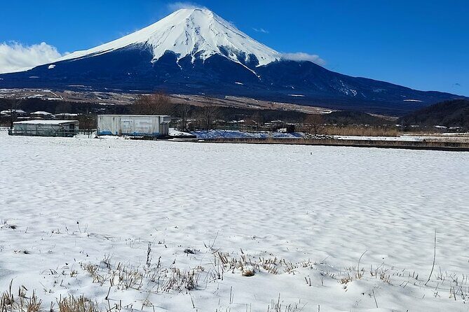 Mt. Fuji and Hakone Private Tour with English Speaking Driver - An In-Depth Look at the Itinerary