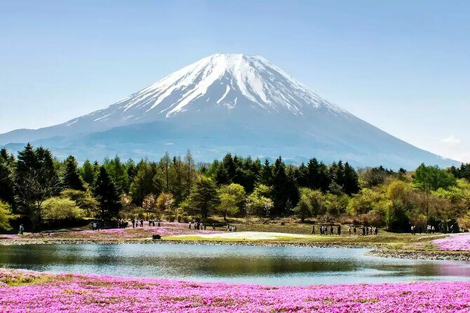 Mt. Fuji and Hakone Private Tour with English Speaking Driver - FAQ