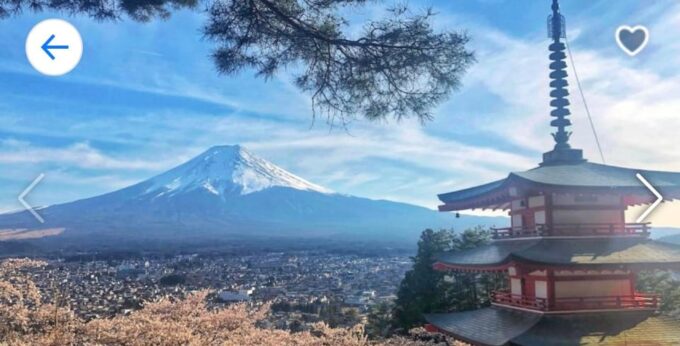 Mt Fuji and Hakone Private Tour With English Speaking Guide - Age Restrictions