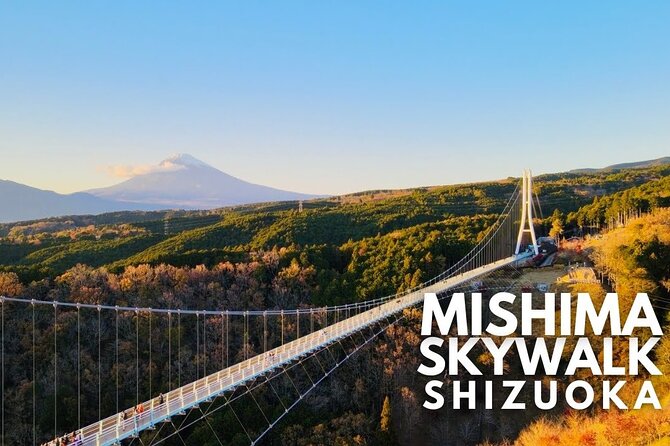 Mt. Fuji and Hakone Private Tour With English Speaking Guide - General Information