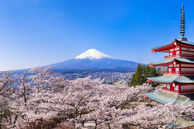 Mt.Fuji and Hakone Tour - Inclusions