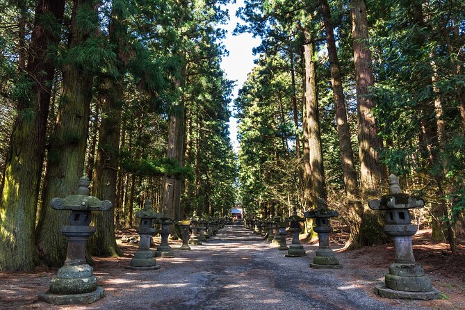 Mt.Fuji and Hakone Tour - Cancellation Policy