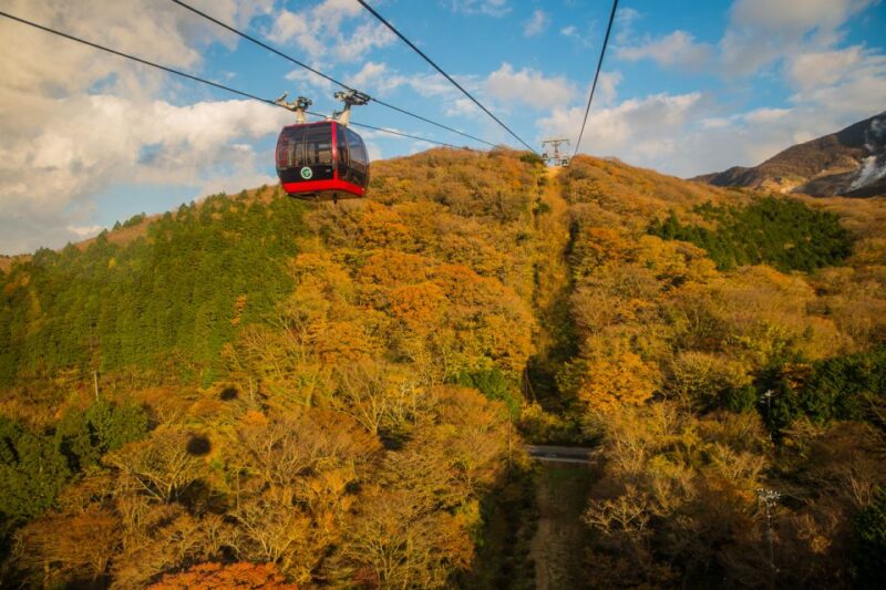 Mt. Fuji and Hakone Tour - Itinerary