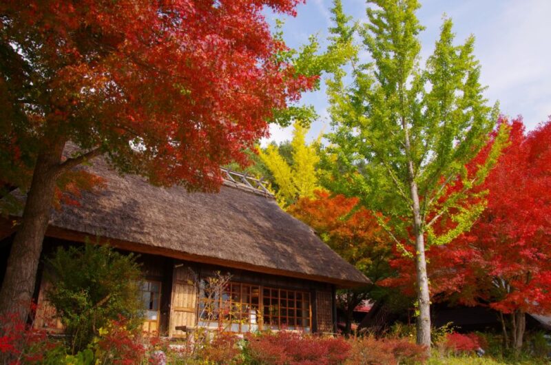 Mt. Fuji and Hakone Tour - Inclusions