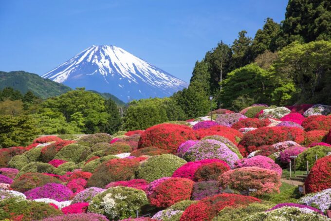 Mt. Fuji and Hakone Tour - Pricing and Booking