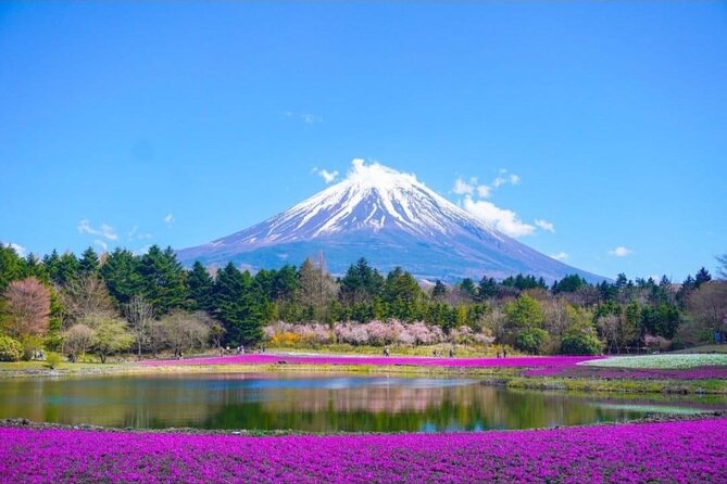 Mt. Fuji and Lake Kawaguchi Day Trip With Guide - Pickup and Drop-off