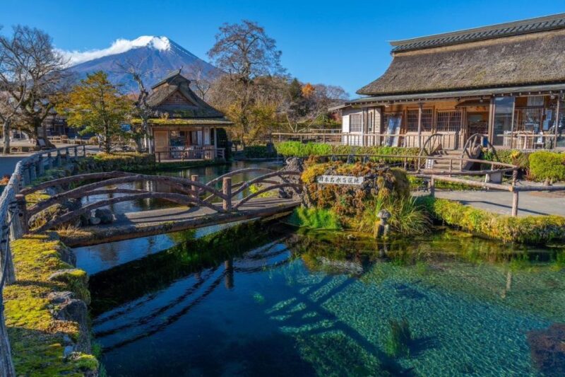 Mt. Fuji Area One Day Private Tour From Tokyo - Photogenic Spots