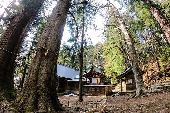Mt Fuji Area Private Guided Tours in English-Nature up Close, Quiet, Personal - Knowledgeable English-Speaking Guide
