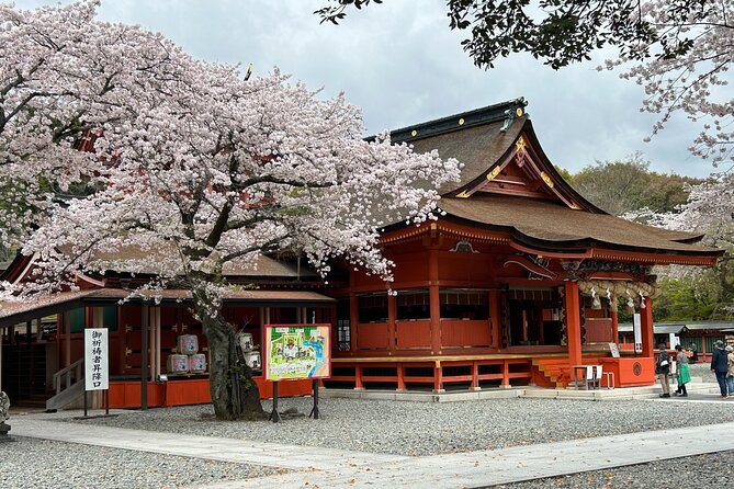 Mt.Fuji Area Tour From Shimizu Port /Sedan Taxi - Key Points