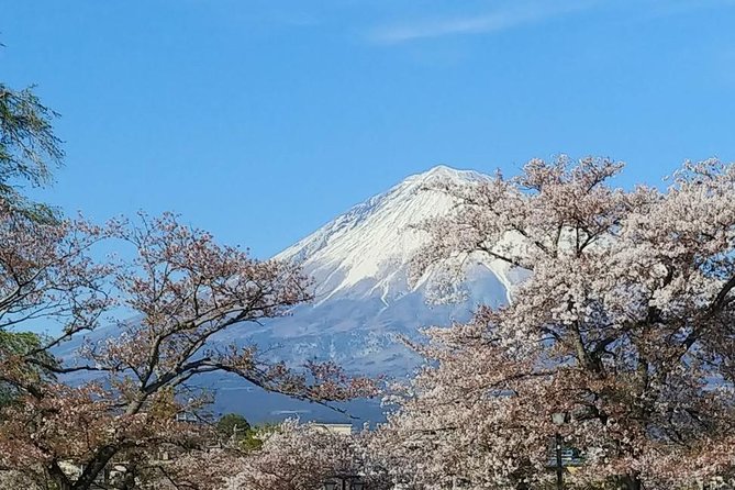 Mt.Fuji Chartered Taxi Tour - Meeting Point and Pickup