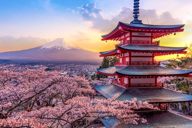 Mt. Fuji Cherry Blossom and Shibasakura Festival Tour - Experiencing the Vibrant Shibasakura Festival