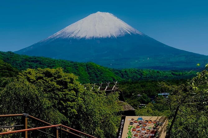 Mt. Fuji Cherry Blossom One Day Private Tour With Pickup - Key Points