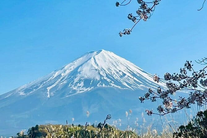 Mt. Fuji Cherry Blossom One Day Private Tour With Pickup - Cancellation and Booking Policies