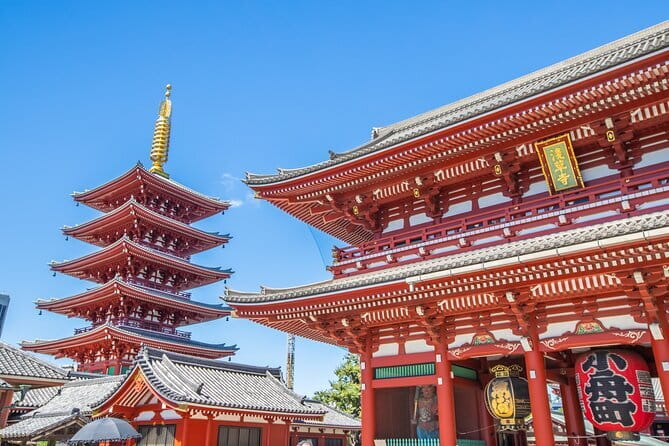 Mt. Fuji Cherry Blossom One Day Private Tour With Pickup - Transportation and Amenities