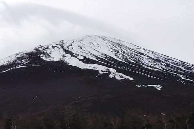 Mt. Fuji Day Tour by Private Minivan With Licensed Tour Guide and Driver - Tour Experience