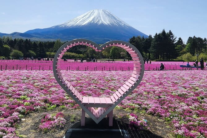 Mt. Fuji Day Tour by Private Minivan With Licensed Tour Guide and Driver - Cancellation Policy