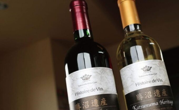 Mt. Fuji Day Tour: Narusawa Ice Cave & All-You-Can-Eat Muscat Grapes - Important Considerations