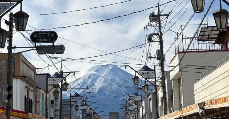 Mt. Fuji Day Tour: Scenic Views, Culture & Comfort - Transportation and Guide