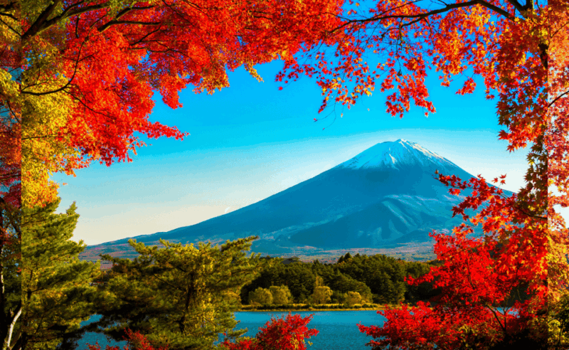Mt. Fuji Day Trip in MERCEDES-BENZ (English Speaking Driver) - Itinerary and Highlights