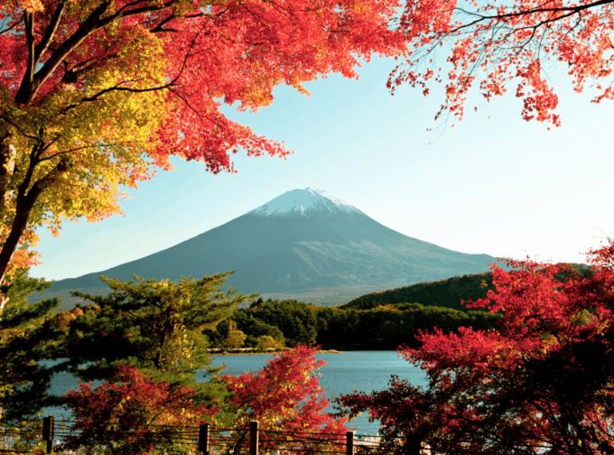 Mt. Fuji Day Trip in MERCEDES-BENZ (English Speaking Driver) - Exploring the Chureito Pagoda