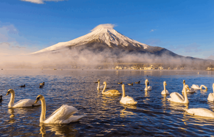 Mt. Fuji Day Trip in MERCEDES-BENZ (English Speaking Driver) - Discovering the Oshino Hakkai Village