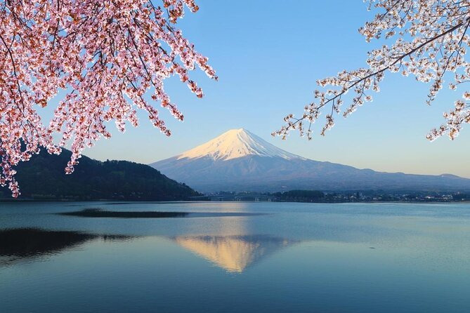 Mt Fuji Day Trip With Private English Speaking Driver From Tokyo - Key Points