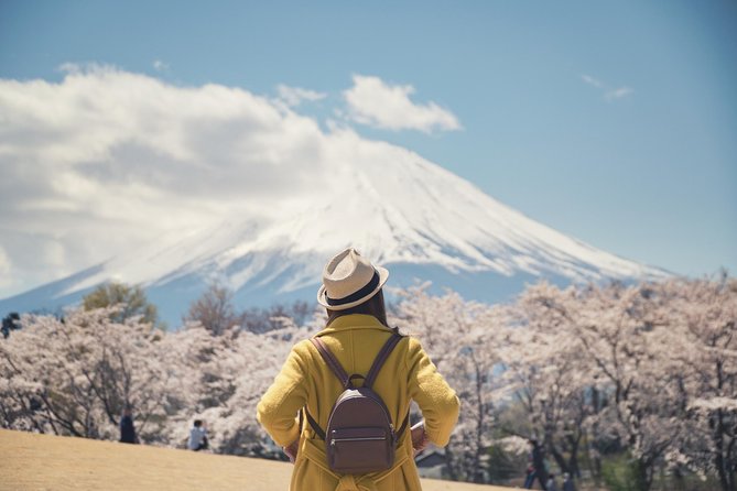 Mt Fuji Day Trip With Private English Speaking Driver From Tokyo - Included Services