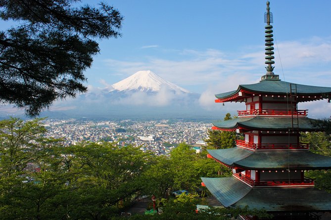 Mt Fuji Day Trip With Private English Speaking Driver From Tokyo - Tour Highlights