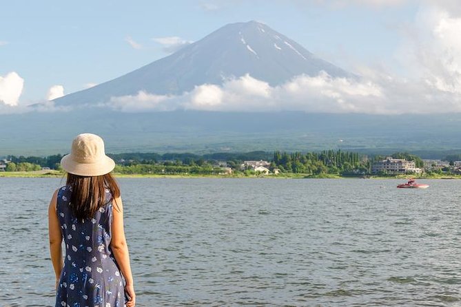 Mt Fuji Day Trip With Private English Speaking Driver From Tokyo - Pickup and Transport