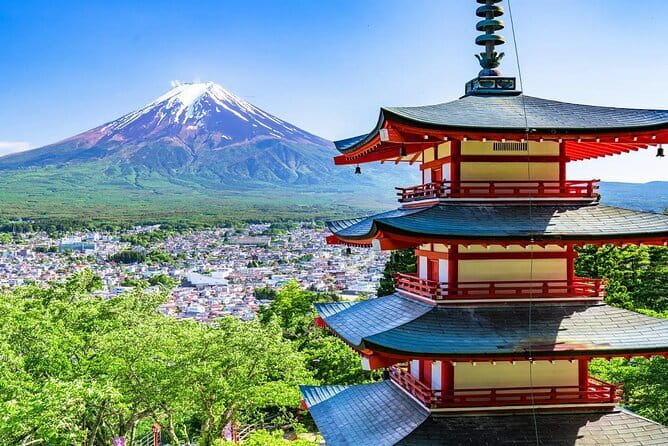 Mt Fuji Exploration Tour With Free Japanese Kusa Mochi From Tokyo - Meeting and Transportation