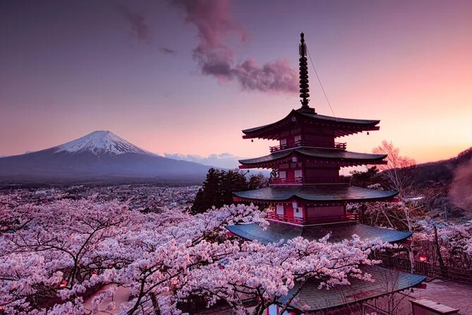 Mt Fuji ( Fuji San) Private Day Tour With English Speaking Driver - Cancellation Policy and Refunds
