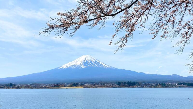 Mt Fuji: Full Day Private Tour From Tokyo by Luxury Vehicle - Key Points