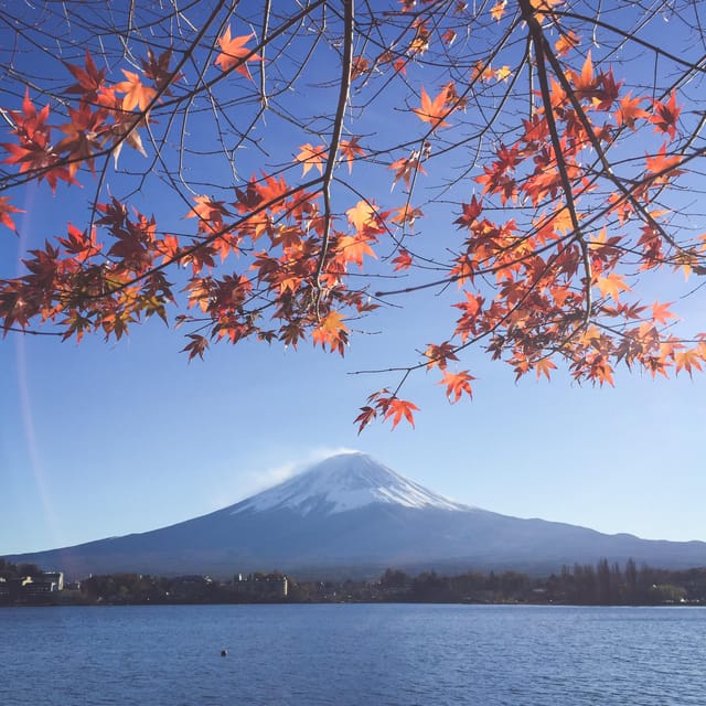 Mt Fuji: Full Day Private Tour From Tokyo by Luxury Vehicle - Included Amenities