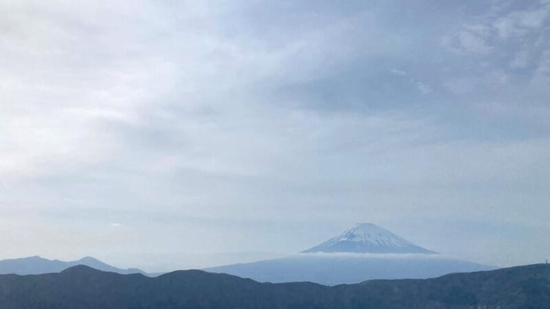 Mt Fuji: Full Day Private Tour From Tokyo by Luxury Vehicle - Itinerary Highlights