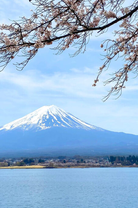 Mt Fuji: Full Day Private Tour From Tokyo by Luxury Vehicle - Pricing Details