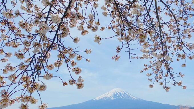 Mt Fuji: Full Day Private Tour From Tokyo by Luxury Vehicle - Frequently Asked Questions