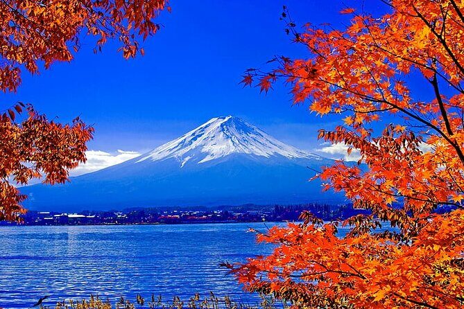 Mt Fuji Full Day Private Tour from Tokyo with English Driver - Key Points