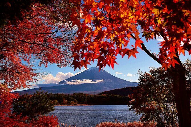 Mt Fuji Full Day Private Tour from Tokyo with English Driver - Why This Tour Works: Analyzing the Value