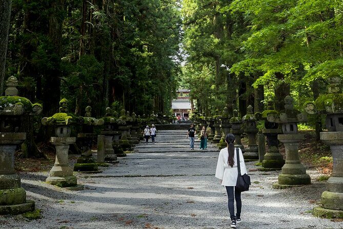 Mt Fuji Full Day Private Tour from Tokyo with English Driver - Who Is This Tour Best For?