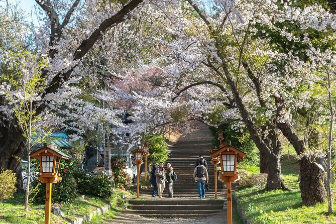 Mt Fuji Full Day Private Tour from Tokyo with English Driver - FAQs