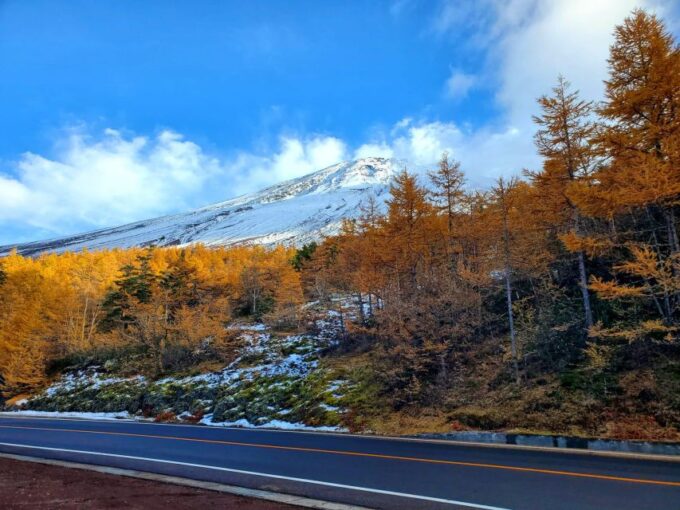 Mt Fuji: Full Day Private Tour With English Guide - Tour Experience