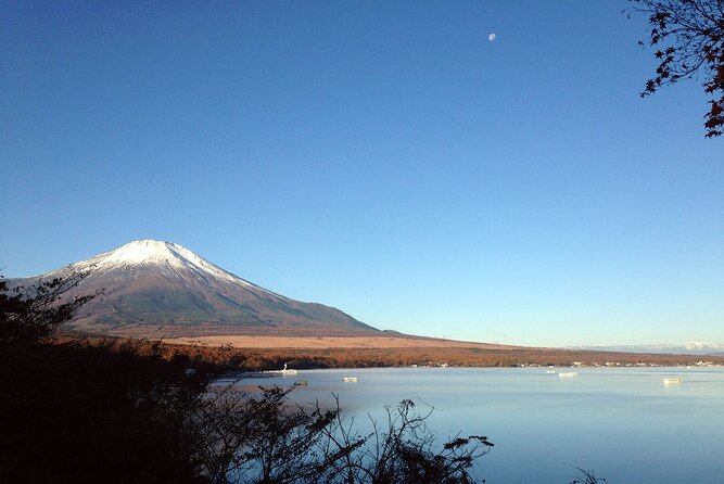 Mt Fuji Full-Day Tour By Car - Mt Fujis 5th Station and Chureito Pagoda