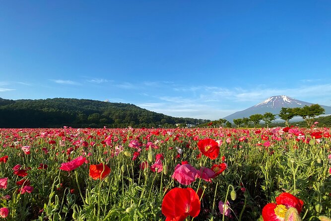 Mt Fuji Full-Day Tour By Car - Meeting Point and Pickup