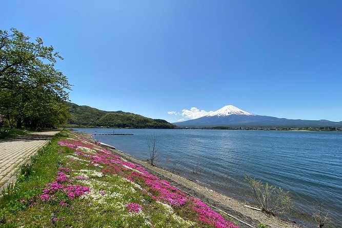 Mt Fuji Full-Day Tour By Car - Confirmation and Cancellation Policies