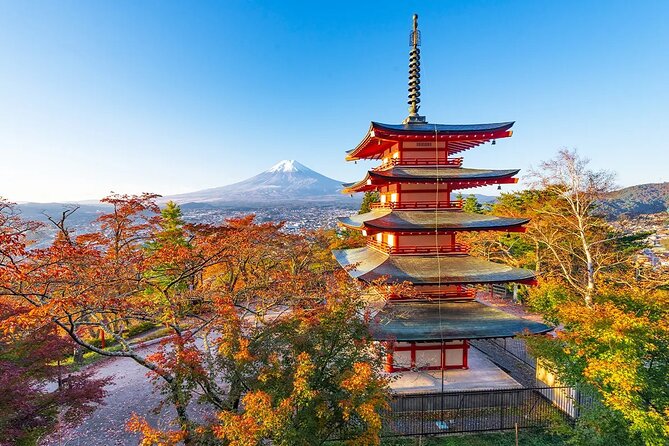 Mt Fuji Gotemba Outlet and Hot Springs Tour From Tokyo - Relaxing at the Hot Springs