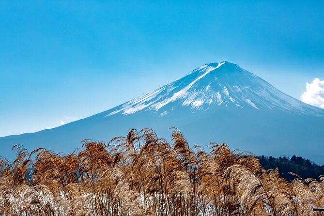 Mt Fuji Gotemba Outlet and Hot Springs Tour From Tokyo - Making the Most of Your Tour