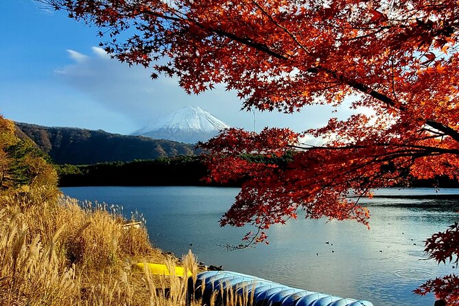 Mt. Fuji Guided Private Tour GREEN NUMBER PLATES - Important Considerations